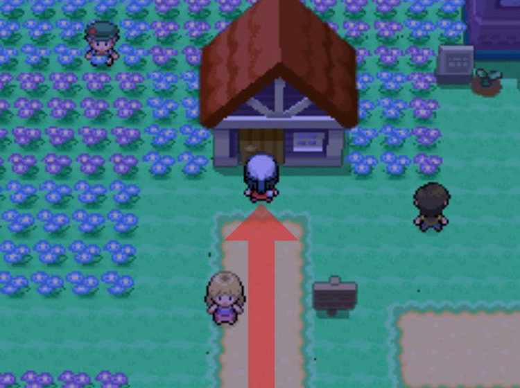 TM88 is found inside this house / Pokémon Platinum
