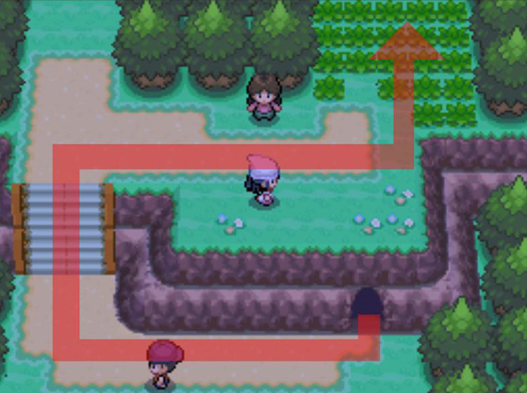Route 204 on the other side of the Ravaged Path / Pokémon Platinum