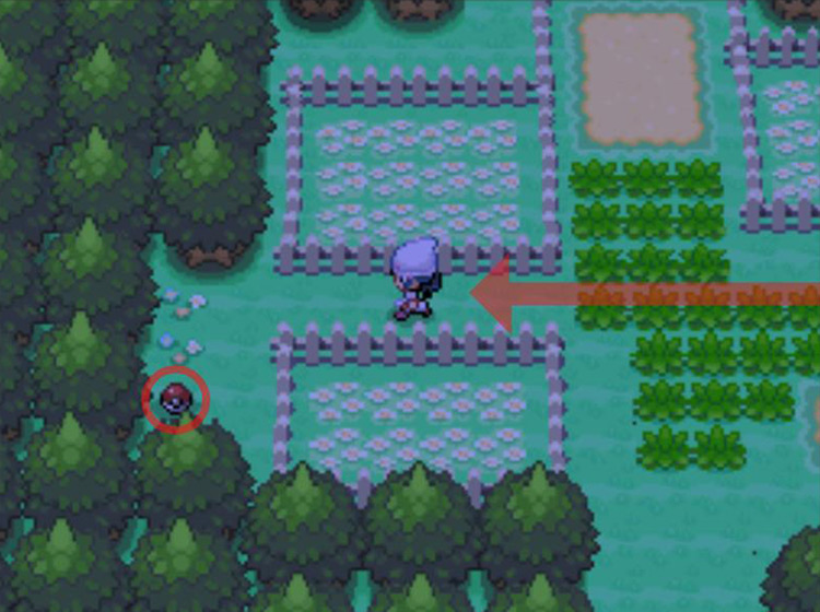 TM09 Bullet Seed in the lower-left corner / Pokémon Platinum