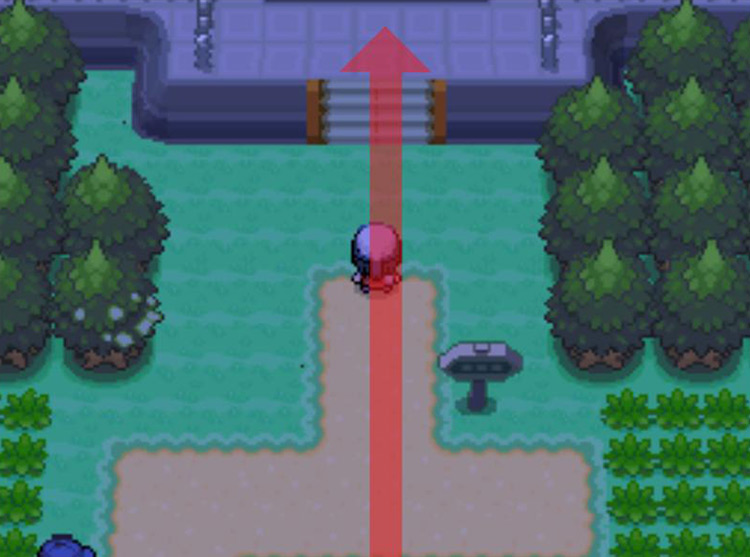 Head north into Jubiife City from Route 202 / Pokémon Platinum