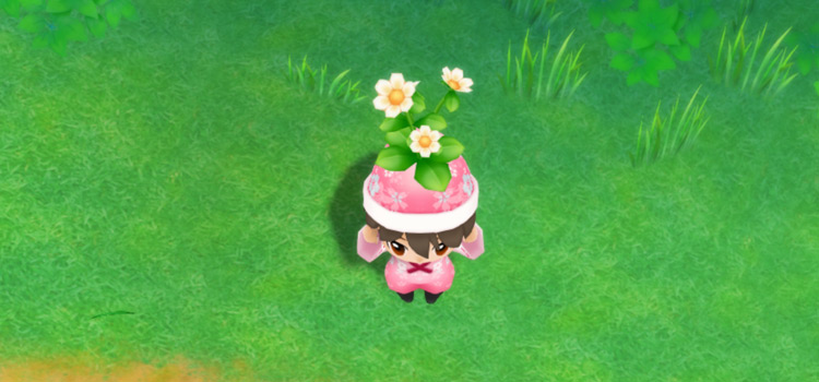 Holding a Moondrop Flower in the meadow in SoS:FoMT