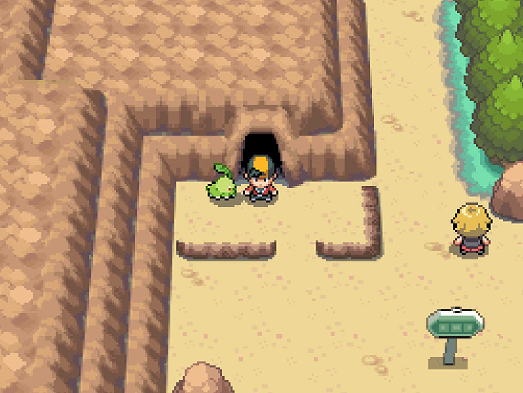 The entrance to Union Cave on Route 32 / Pokémon HGSS