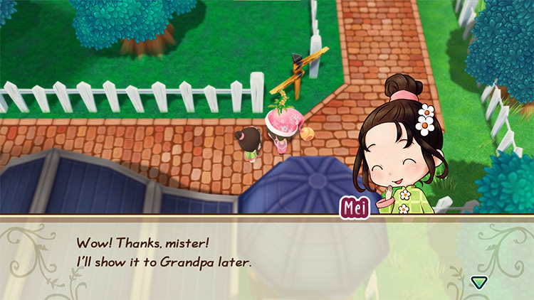 The farmer gives Mei a Toy Flower. / Story of Seasons: Friends of Mineral Town