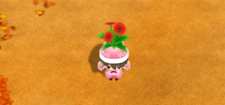 Holding a Sunsweet Flower in the Secret Forest in SoS:FoMT