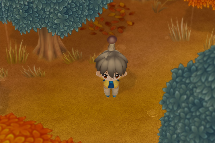 The farmer finds a Matsutake in the Church Forest. / Story of Seasons: Friends of Mineral Town