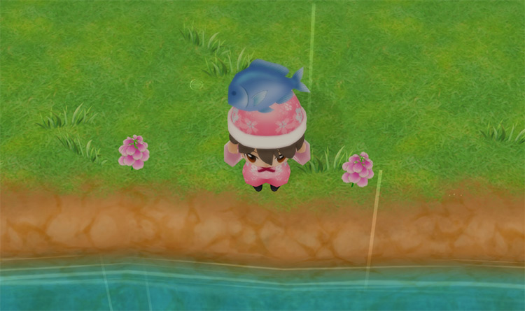 The farmer catches a Medium Fish in the river. / Story of Seasons: Friends of Mineral Town