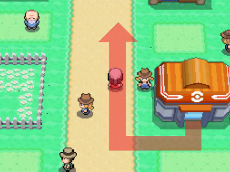 Solaceon Town going north. / Pokémon Platinum