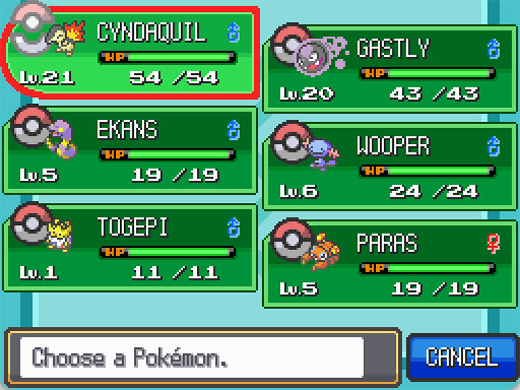 A complete team with 4 sacrificial Pokémon, only one of them needs “Intimidate” / Pokémon HGSS