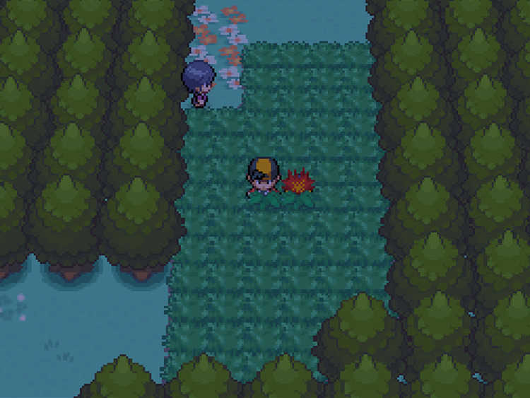 A patch of tall grass on Route 37 at night / Pokémon HGSS