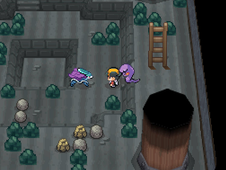 Suicune inspecting the player in the basement of the Burned Tower / Pokémon HGSS