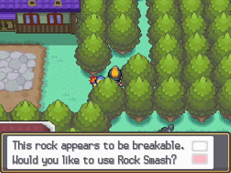A breakable rock in Violet City next to the Pokémon School / Pokémon HGSS
