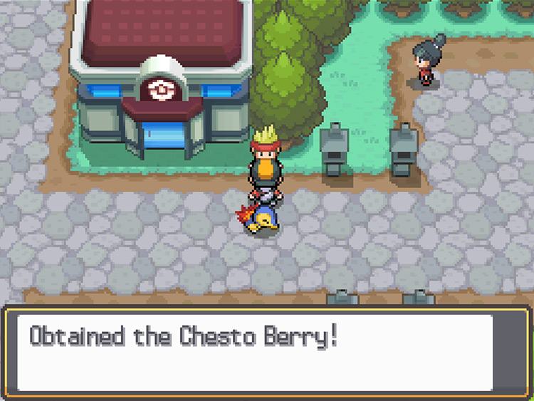 Obtaining a Chesto Berry from the Juggler / Pokémon HGSS