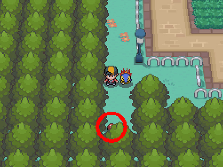 TM28 Dig, circled in red / Pokémon HGSS
