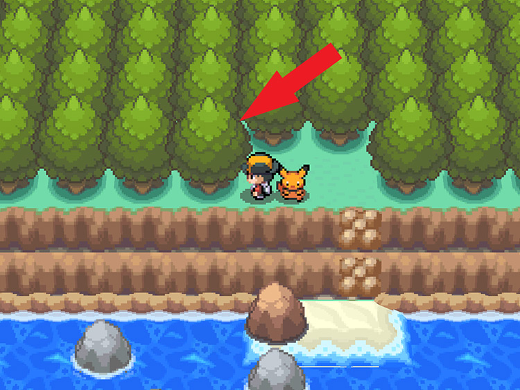 The Special Tree at Cherrygrove City / Pokémon HeartGold and SoulSilver