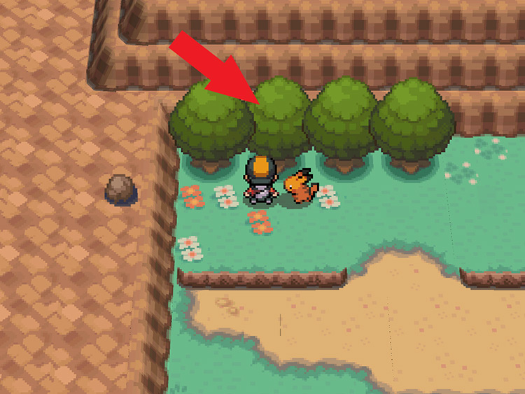 The Special Tree on Route 25 / Pokémon HeartGold and SoulSilver
