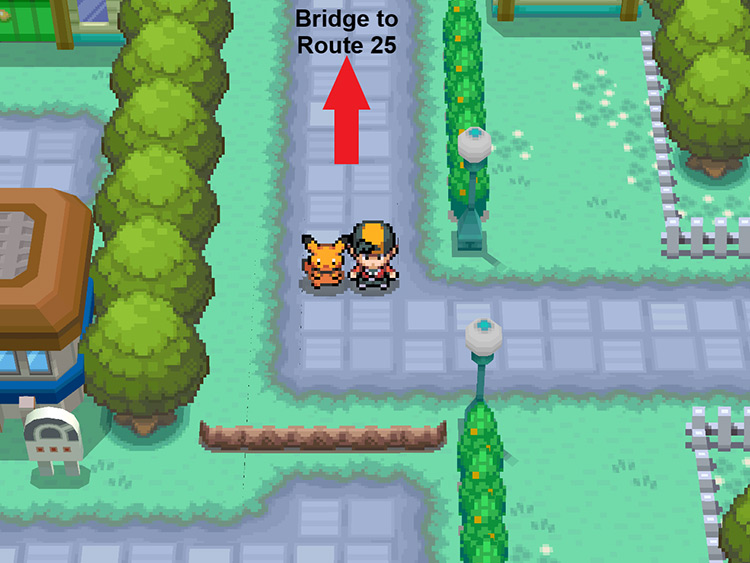 To the right of the Pokémon Gym in Cerulean City / Pokémon HeartGold and SoulSilver