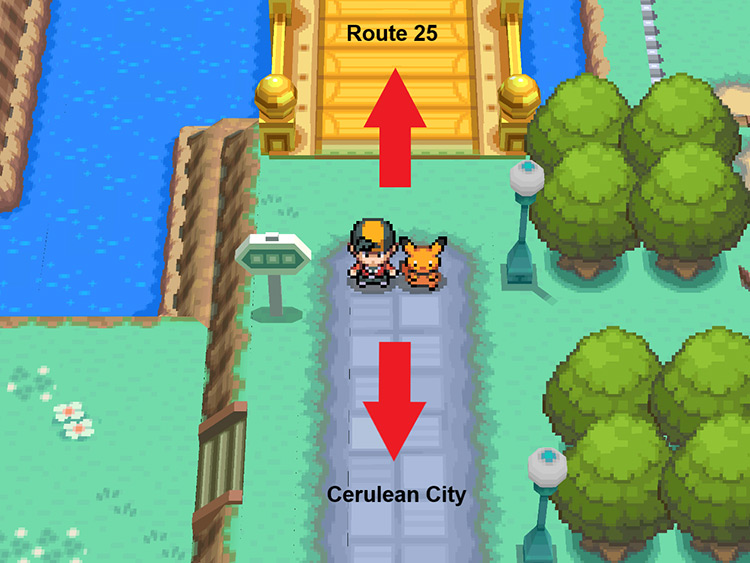At the bridge that leads to Route 25 / Pokémon HeartGold and SoulSilver