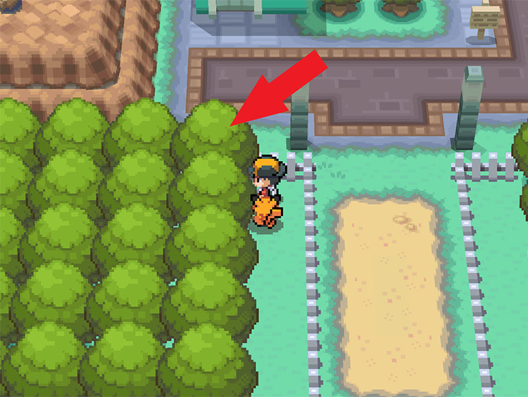 The Special Tree in Pewter City / Pokémon HeartGold and SoulSilver