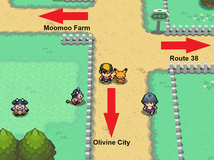Heading past the Moomoo Farm on Route 39 / Pokémon HeartGold and SoulSilver