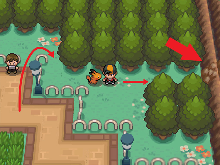 Behind the fence in the National Park / Pokémon HeartGold and SoulSilver