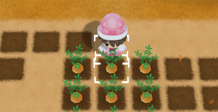 The farmer harvests Carrots from a field in Autumn. / Story of Seasons: Friends of Mineral Town