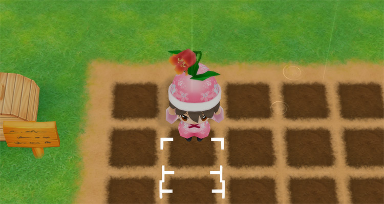 The farmer harvests a True Magic Red Flower in Autumn. / Story of Seasons: Friends of Mineral Town
