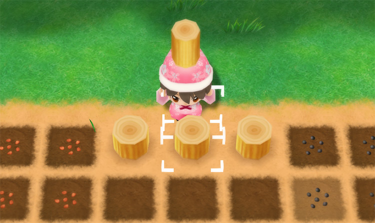 A fence made of Golden Lumber. / Story of Seasons: Friends of Mineral Town