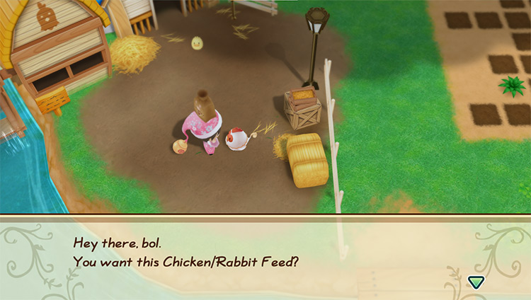 The farmer hand-feeds a chicken. / Story of Seasons: Friends of Mineral Town