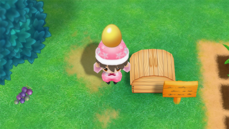 The farmer drops a Golden Egg into the Shipping Bin. / Story of Seasons: Friends of Mineral Town