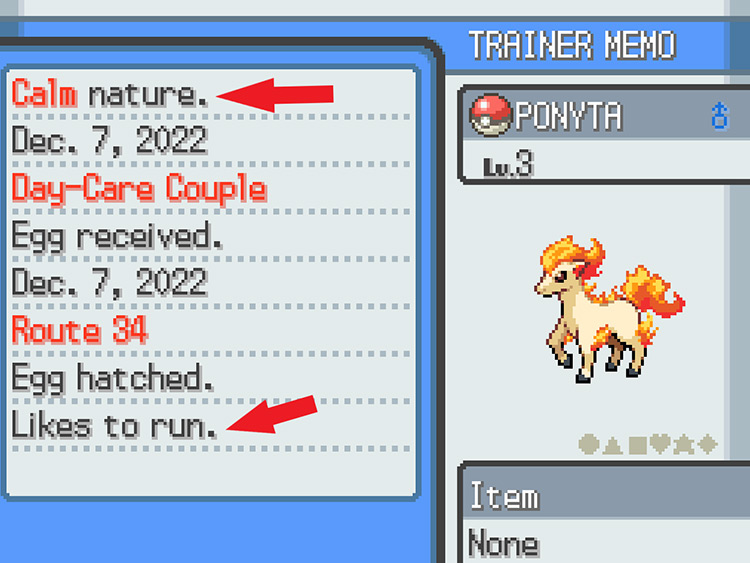 Ponyta’s Trainer Memo, drawing attention to its Nature and Characteristic / Pokémon HeartGold and SoulSilver