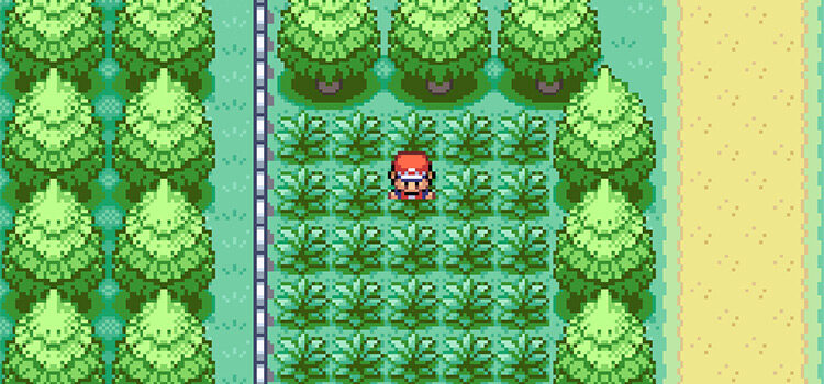 Looking for Ditto in grass on Route 15 (FireRed)