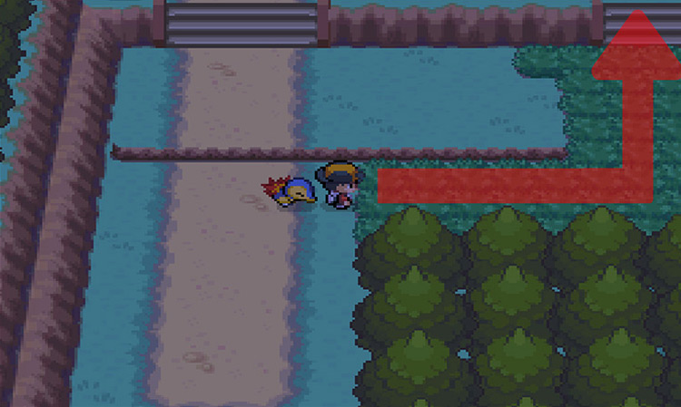 The tall grass and stairs on Route 30. / Pokemon HGSS