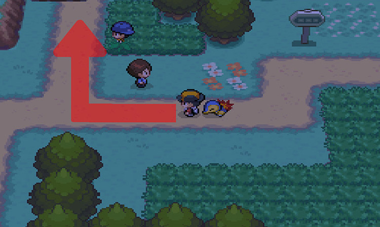 Taking the path west after the tall grass, and then north towards Route 31. / Pokemon HGSS