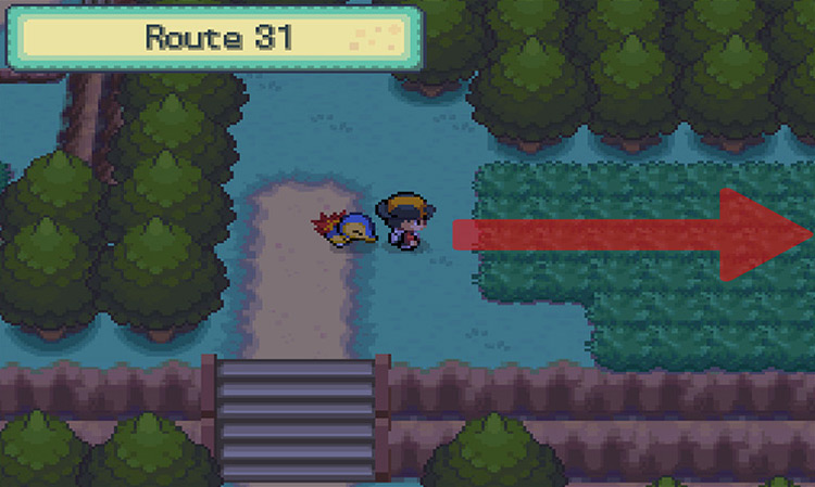 Moving west through the tall grass. / Pokemon HGSS