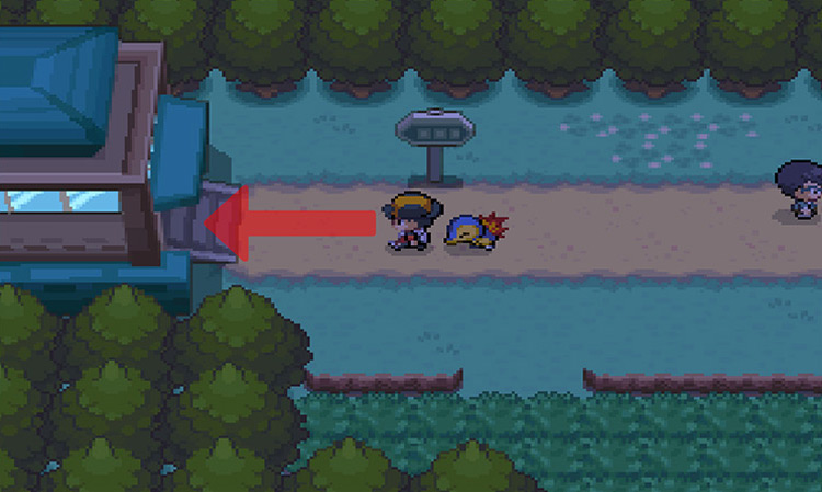 Approaching the exit from Route 31. / Pokemon HGSS