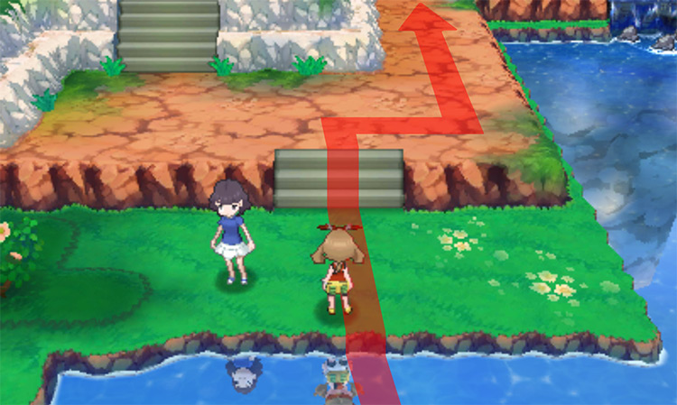 Walking near an NPC / Pokémon Omega Ruby and Alpha Sapphire