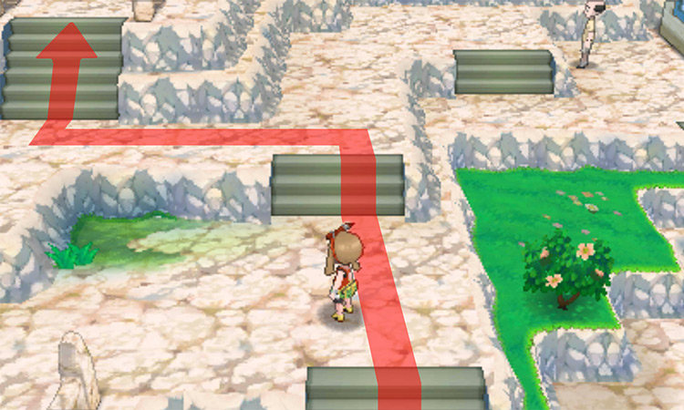 The correct path to take / Pokémon Omega Ruby and Alpha Sapphire