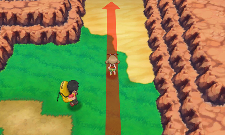 Desert area’s entrance / Pokémon Omega Ruby and Alpha Sapphire