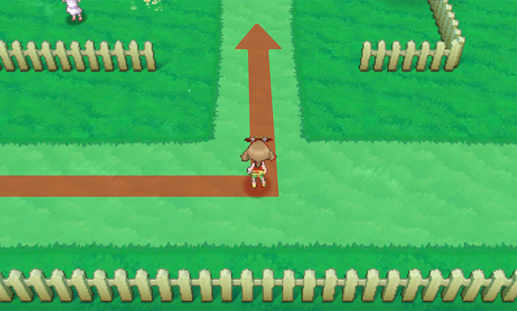 Walking along Route 123 / Pokémon Omega Ruby and Alpha Sapphire
