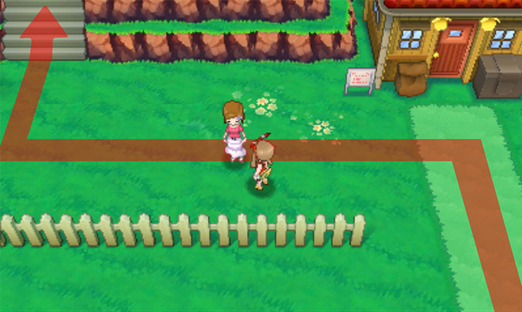 Outside the Berry Master’s house / Pokémon Omega Ruby and Alpha Sapphire