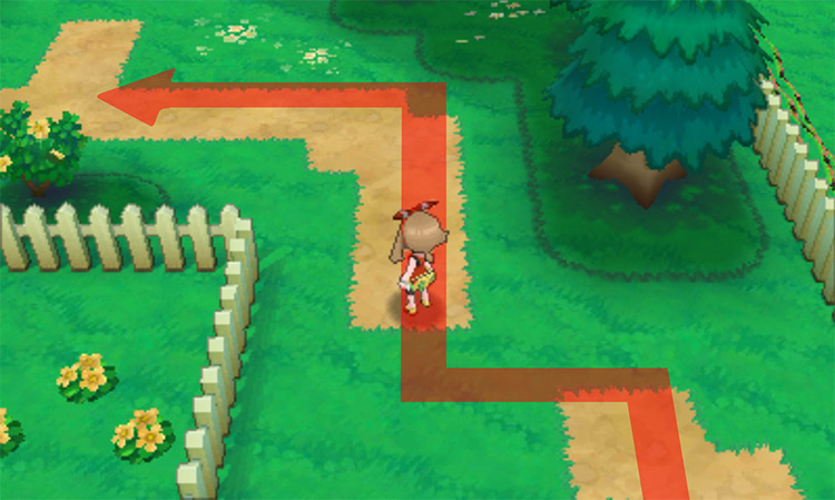 The northernmost part of the Berry Master’s garden / Pokémon Omega Ruby and Alpha Sapphire