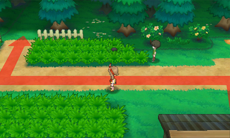 Outside Petalburg Woods’ entrance / Pokémon Omega Ruby and Alpha Sapphire