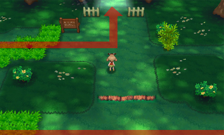 Exiting Petalburg Woods / Pokémon Omega Ruby and Alpha Sapphire