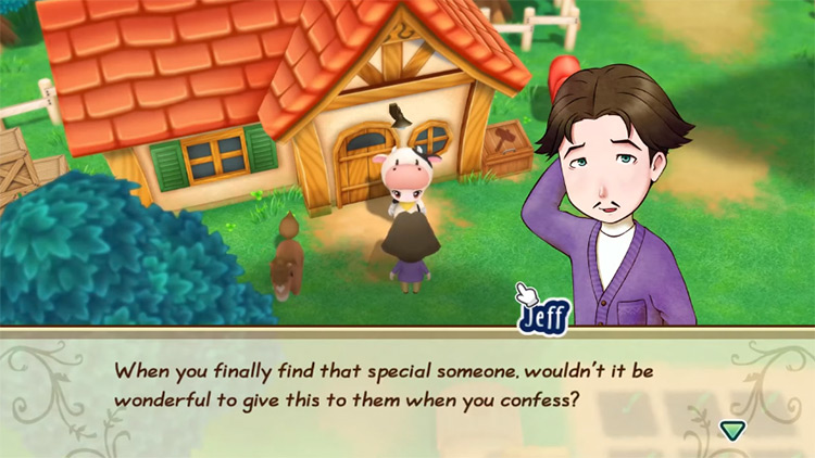 Jeff gives the farmer the Preserved Flower. Source / Story of Seasons: Friends of Mineral Town