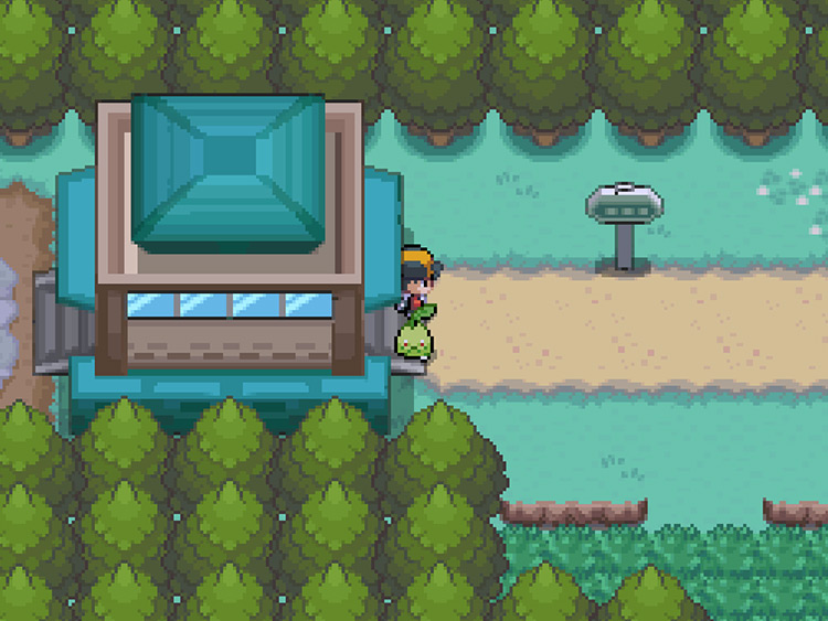 Bellsprout can be encountered in the tall grass pictured above / Pokémon HGSS