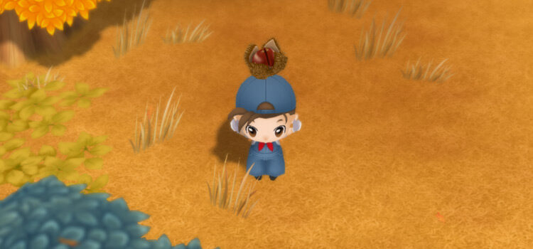 Holding a Chestnut in the meadow in SoS:FoMT