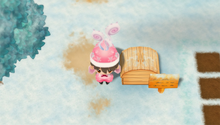 The farmer drops White Grass into the Shipping Bin. / Story of Seasons: Friends of Mineral Town