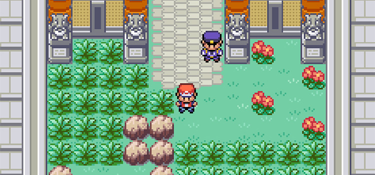 Looking for wild Arbok on Route 23 (FireRed)