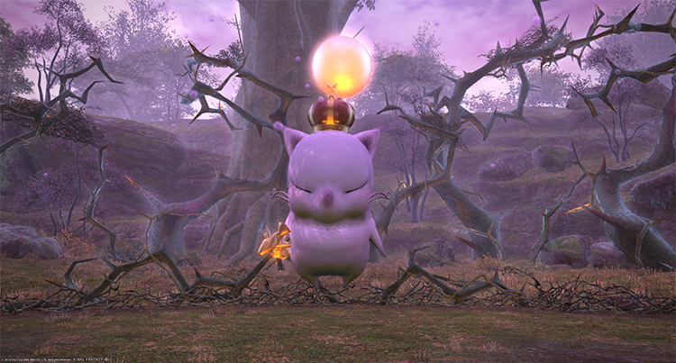 The King of the Moogles / Final Fantasy XIV