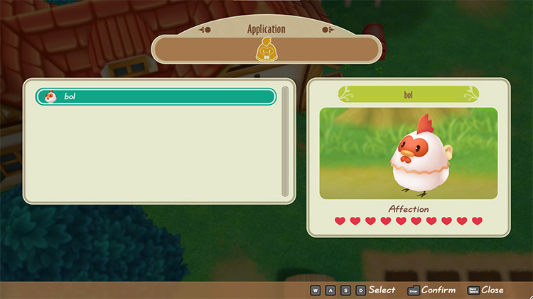 The farmer enters a chicken into the Cluck-Cluck Clash. / Story of Seasons: Friends of Mineral Town